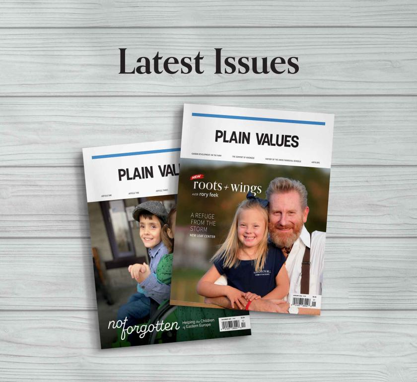 Plain Values Magazine 