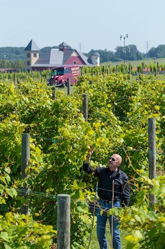 Breitenbach Wine Cellars