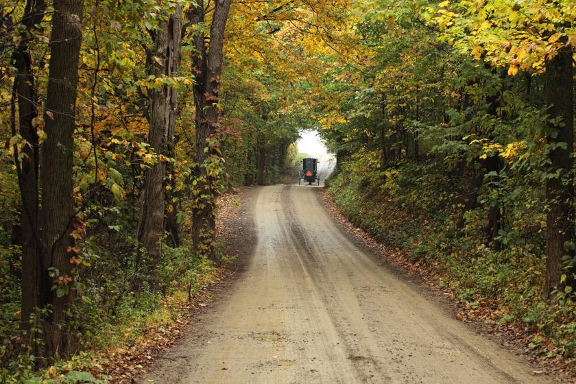 Lehman's is the gateway to Amish Country.  Come and enjoy the road less traveled.