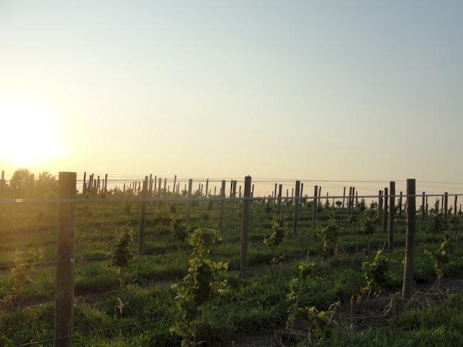 Breitenbach Wine Cellars