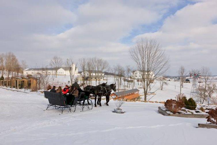 Farm at Walnut Creek, The