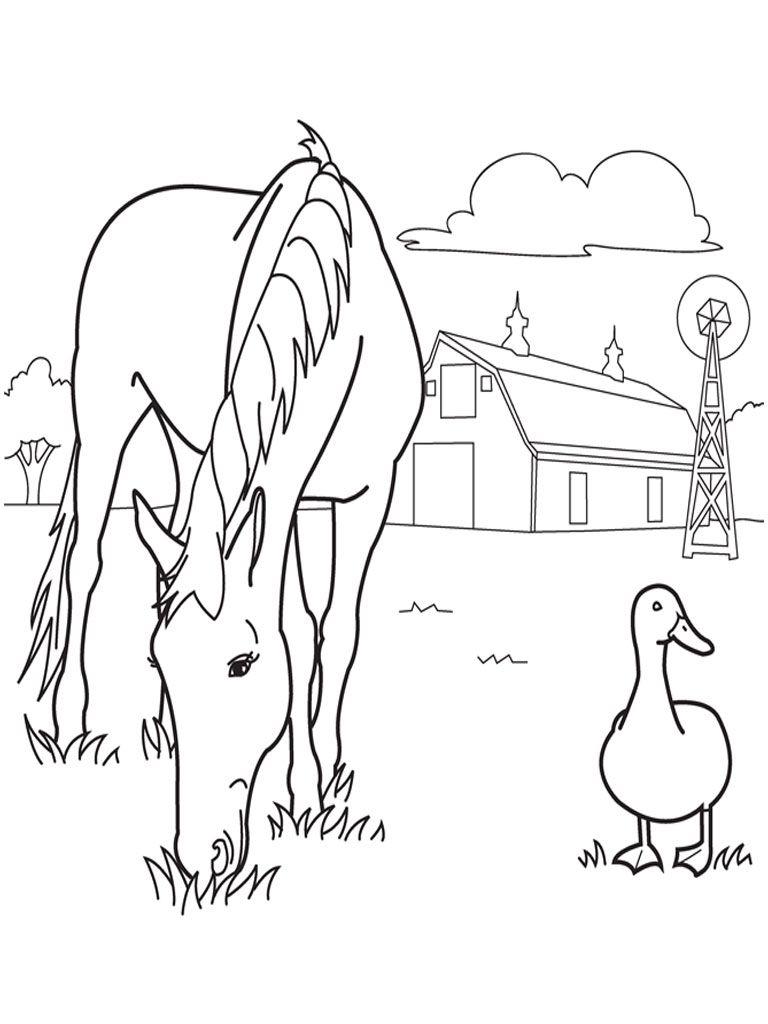 Horse and Duck