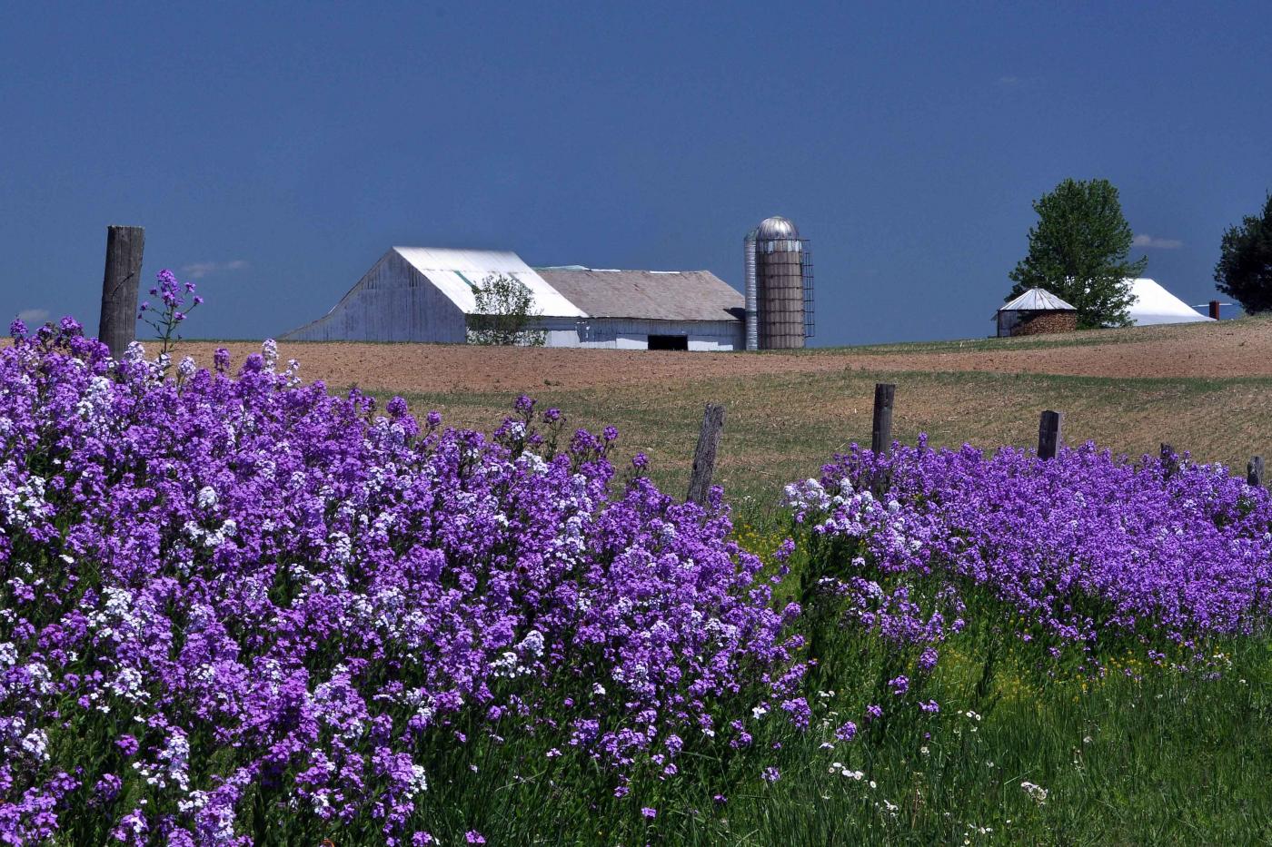 farm and field