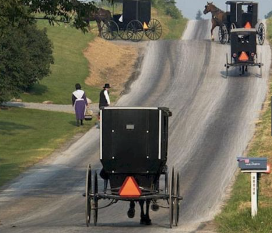 Amish buggies on the road
