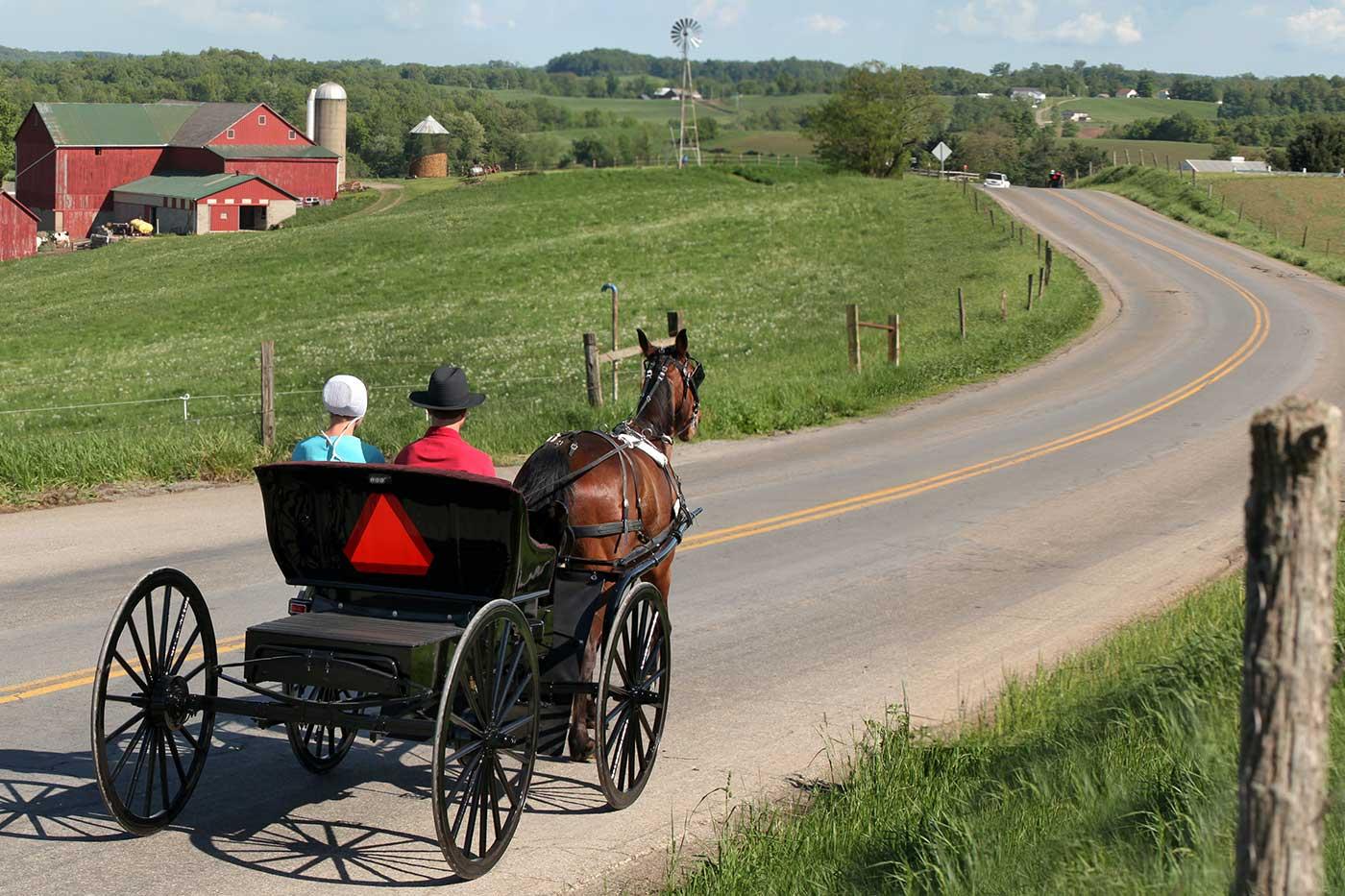 Buggy going down the road