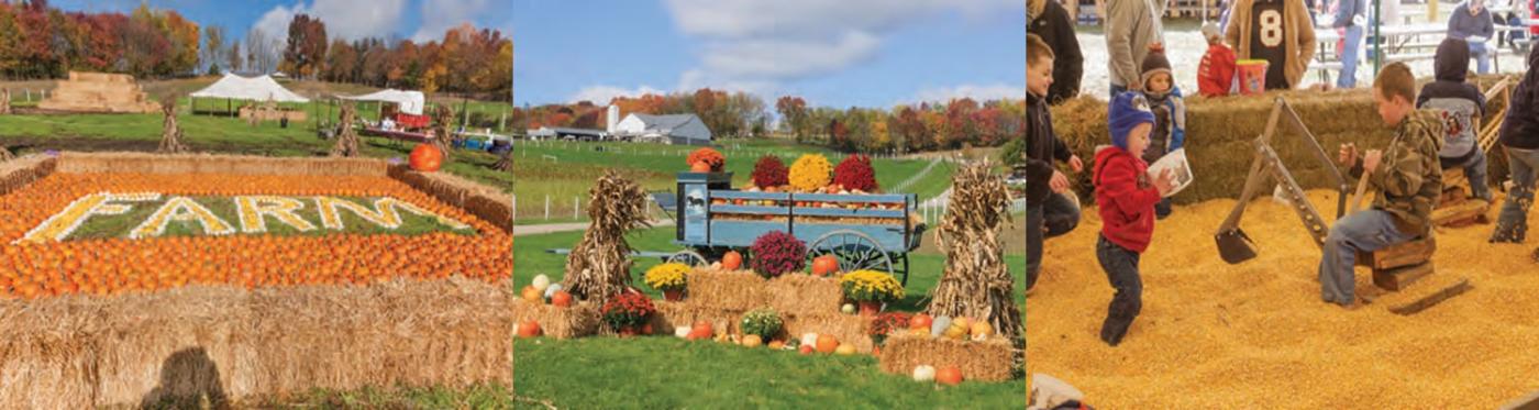 Views from around The Farm at Walnut Creek
