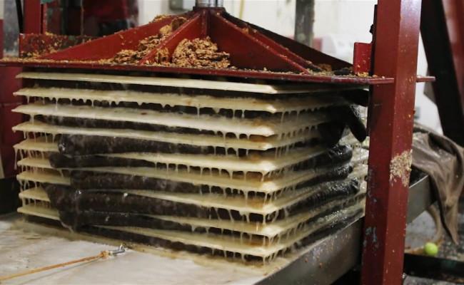 Apples being pressed into cider at Hillcrest Orchard