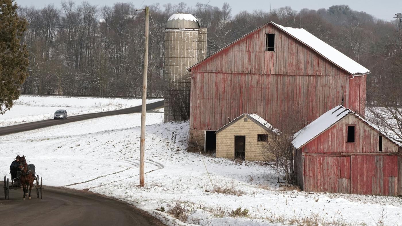 Horse and buggy on a rural road in Winter
