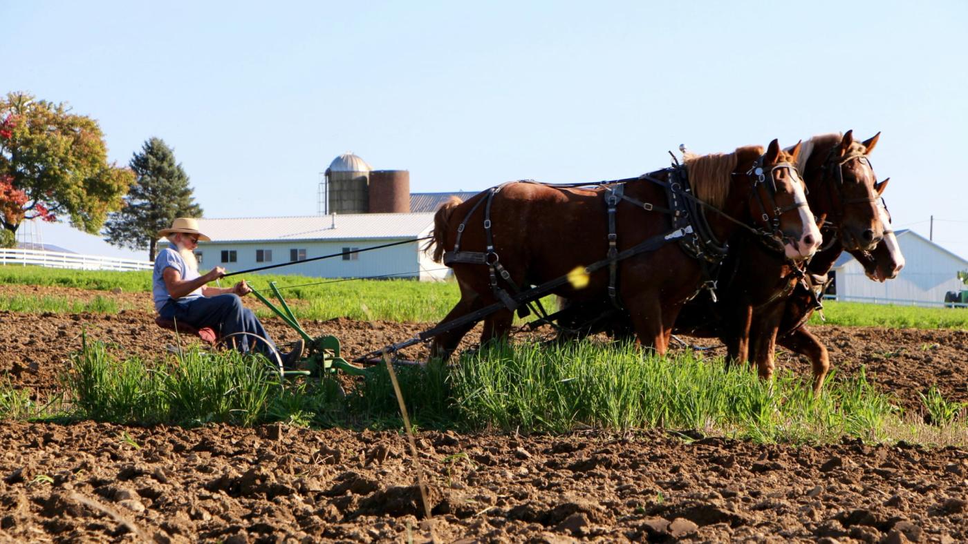 Amish man plowing a field with a pair of horses