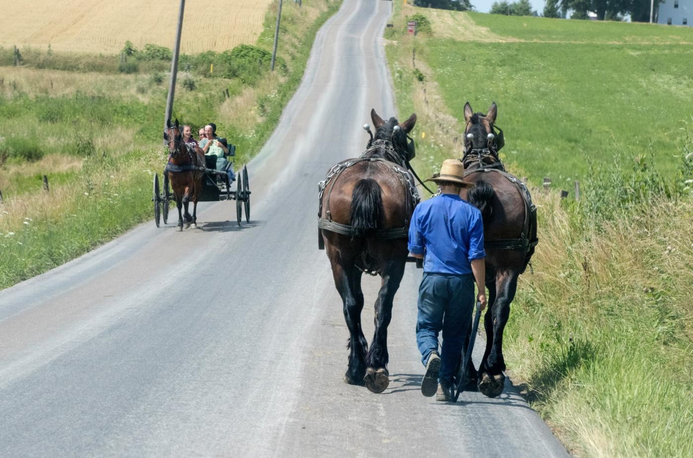 Amish with horses passing one another