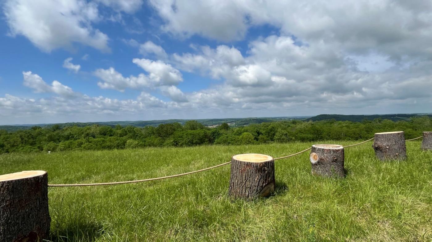 View from atop a hill at Legacy Point Park