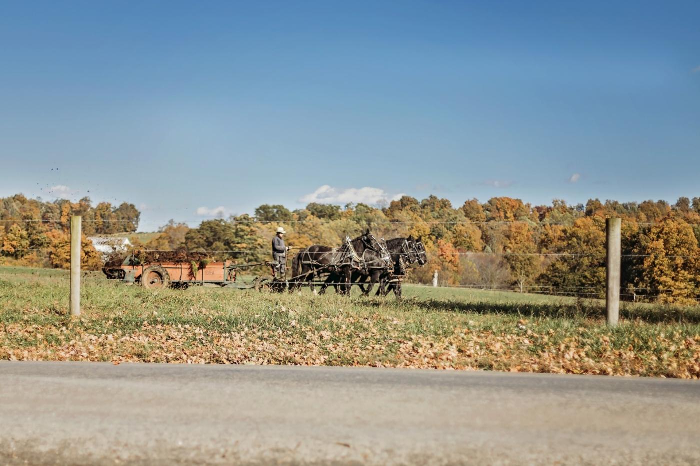 Amish farmer in the field along the byway