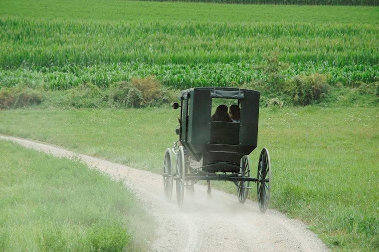 Buggy ride at Yoder's Amish Farm