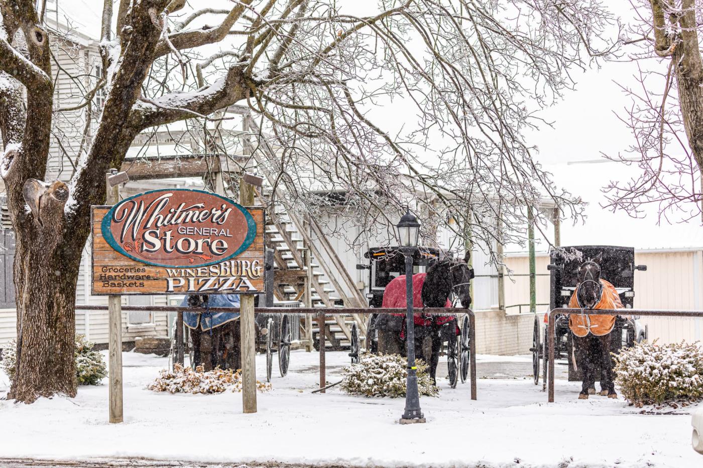 Amish Buggies outside Whitmer's Store in Winesburg, Ohio